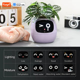 Tuya Ivy Smart Planter,Endless Fun over 49 Rich Expressions,7 Smart Sensors,Ai Chips Make Raising Plants Easy and Fun